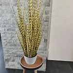 Haus Karlsson Fuer 8 Personen *