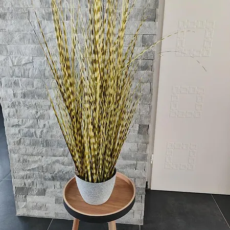 Haus Karlsson Fuer 8 Personen *
